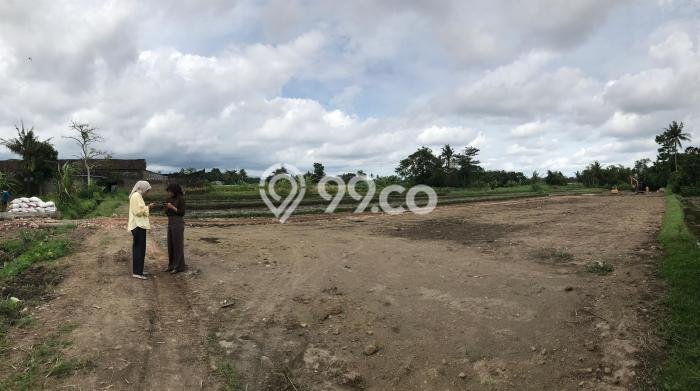 Tanah untuk Dijual Lokasi Sleman, Sleman Luas 100m2 SHM Tanah untuk Dijual Lokasi Sleman, Sleman Luas 100m2 SHM