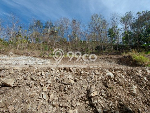 Kavling Tanah untuk Dijual di Bantul, Yogyakarta, Luas 124m2 Kavling Tanah untuk Dijual di Bantul, Yogyakarta, Luas 124m2