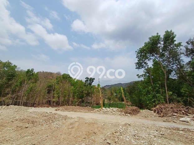 Jarang Ada! Tanah di Bantul Punya Luas 120m2 SHM Jarang Ada! Tanah di Bantul Punya Luas 120m2 SHM