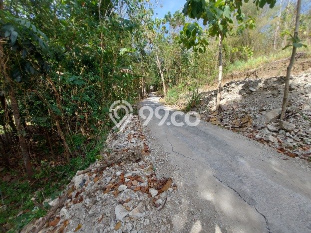 Tanah Dijual di Yogyakarta Seluas 124m2 Strategis Tanah Dijual di Yogyakarta Seluas 124m2 Strategis