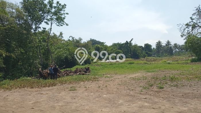 Tanah untuk Dijual Lokasi Sleman, Sleman Luas 146m2 SHM Tanah untuk Dijual Lokasi Sleman, Sleman Luas 146m2 SHM
