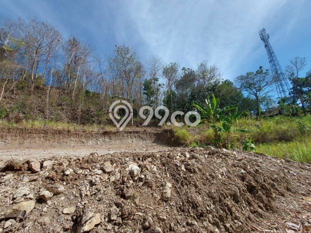 Tanah Dijual di Yogyakarta Seluas 124m2 Strategis Tanah Dijual di Yogyakarta Seluas 124m2 Strategis