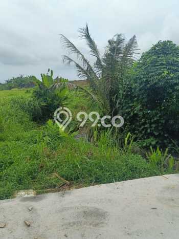 Kavling Tanah untuk Dijual di Dalung, Badung, Luas 116m2 Kavling Tanah untuk Dijual di Dalung, Badung, Luas 116m2