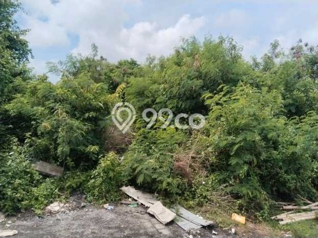 Tanah Kavling Dijual di Badung dengan Spesifikasi 820m2 Tanah Kavling Dijual di Badung dengan Spesifikasi 820m2