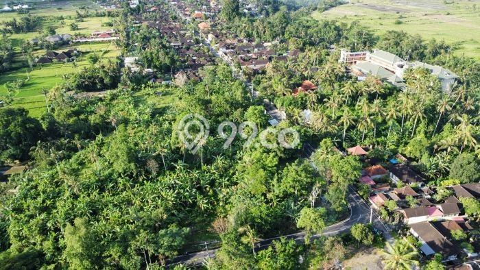 Tanah Strategis Dijual di Ubud Gianyar 17410m2 Tanah Strategis Dijual di Ubud Gianyar 17410m2
