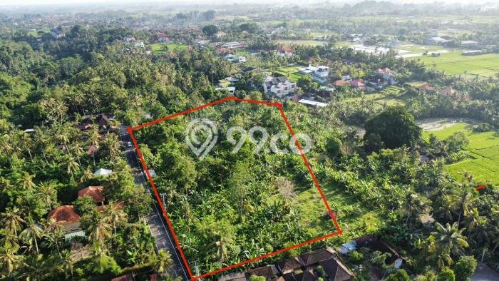 Tanah Strategis Dijual di Ubud Gianyar 17410m2 Tanah Strategis Dijual di Ubud Gianyar 17410m2