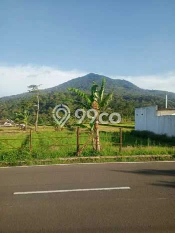 Lahan Strategis di Pandeglang Dijual dengan Luas 606m2 Lahan Strategis di Pandeglang Dijual dengan Luas 606m2