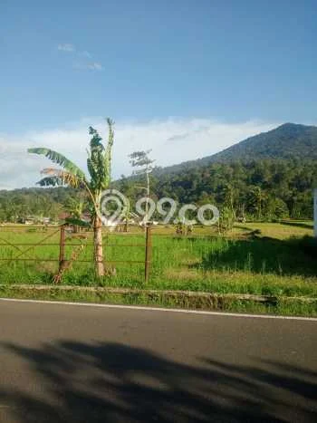 Lahan Strategis di Pandeglang Dijual dengan Luas 606m2 Lahan Strategis di Pandeglang Dijual dengan Luas 606m2