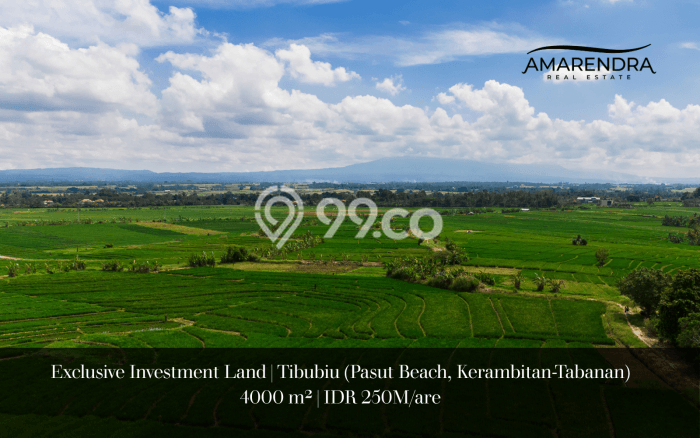Tanah Dijual di Tabanan Seluas 4000m2 Strategis Tanah Dijual di Tabanan Seluas 4000m2 Strategis