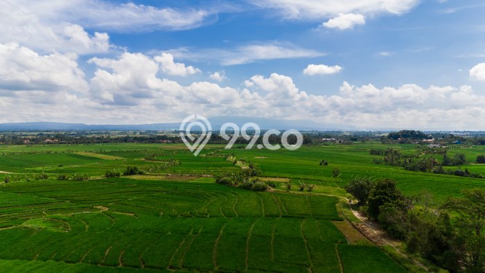 Tanah Dijual di Tabanan Seluas 4000m2 Strategis Tanah Dijual di Tabanan Seluas 4000m2 Strategis