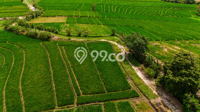 Tanah Dijual di Tabanan Seluas 4000m2 Strategis Tanah Dijual di Tabanan Seluas 4000m2 Strategis