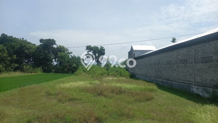 Jarang Ada! Tanah di Jetis Punya Luas 1059m2 SHM Jarang Ada! Tanah di Jetis Punya Luas 1059m2 SHM