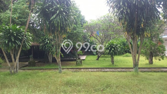 Tanah Kavling Dijual di Yogyakarta dengan Spesifikasi 1684m2 Tanah Kavling Dijual di Yogyakarta dengan Spesifikasi 1684m2