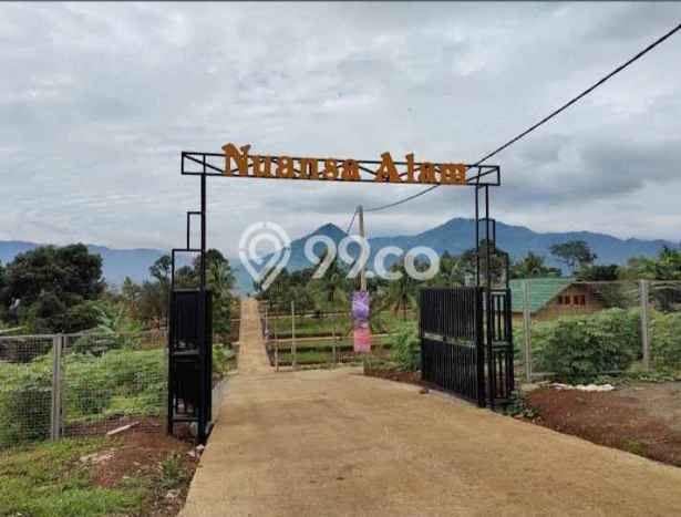 Jarang Ada! Tanah di Bogor Tengah Punya Luas 300m2 SHM Jarang Ada! Tanah di Bogor Tengah Punya Luas 300m2 SHM