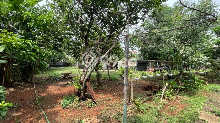 Dijual Rumah Premium dengan Fasilitas Sekitar Komplit di Cilandak, Jakarta Selatan Dijual Rumah Premium dengan Fasilitas Sekitar Komplit di Cilandak, Jakarta Selatan