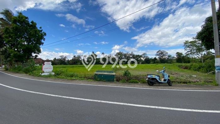 Tanah Kavling Dijual di Yogyakarta dengan Spesifikasi 178m2 Tanah Kavling Dijual di Yogyakarta dengan Spesifikasi 178m2