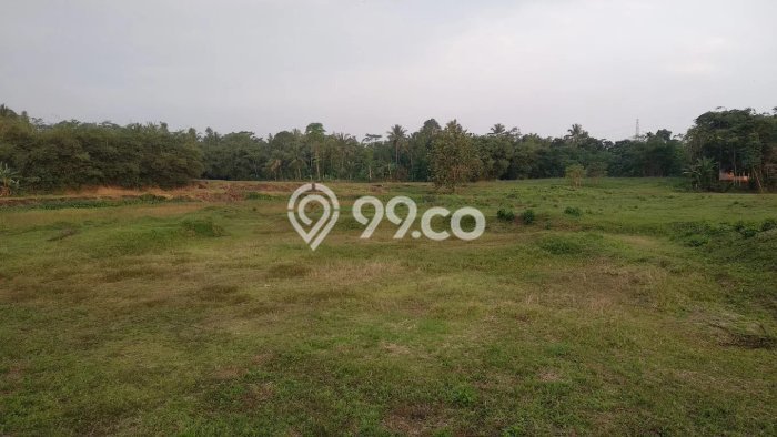 Kavling Tanah Dijual di Labuan, Pandeglang, Luas 49000m2 Area Strategis Kavling Tanah Dijual di Labuan, Pandeglang, Luas 49000m2 Area Strategis