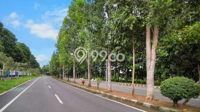 Jarang Ada! Tanah di Pagar Alam Selatan Punya Luas 6446m2 SHM Jarang Ada! Tanah di Pagar Alam Selatan Punya Luas 6446m2 SHM