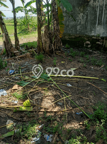 Lahan Kosong Dijual di Taman, Sidoarjo, Luas 480m2 Area Strategis Lahan Kosong Dijual di Taman, Sidoarjo, Luas 480m2 Area Strategis