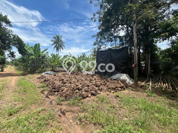 Lahan Dijual Lokasi Bumi Ratu Nuban, Lampung Tengah dengan Luas Tanah 1246m2 dan Status SHM Lahan Dijual Lokasi Bumi Ratu Nuban, Lampung Tengah dengan Luas Tanah 1246m2 dan Status SHM