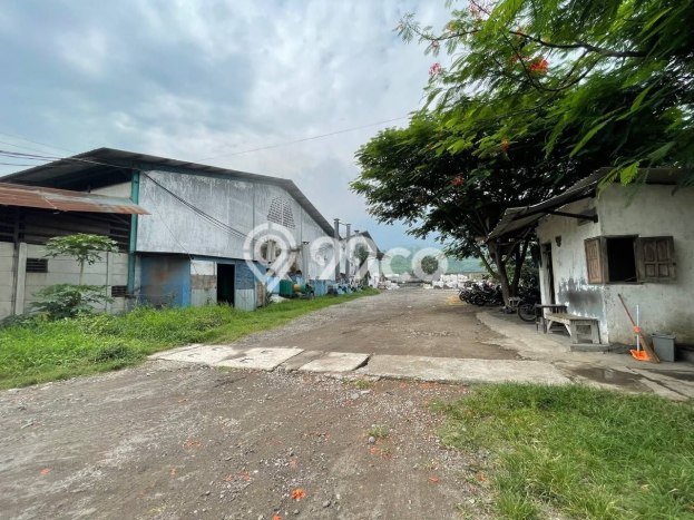 Gudang Bagus LT 42522m2 LB 80000m2 Dijual di Ngoro Mojokerto Gudang Bagus LT 42522m2 LB 80000m2 Dijual di Ngoro Mojokerto