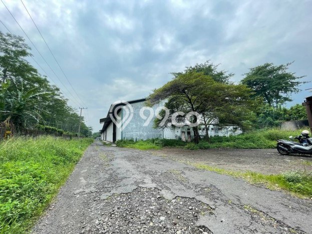 Gudang Bagus LT 42522m2 LB 80000m2 Dijual di Ngoro Mojokerto Gudang Bagus LT 42522m2 LB 80000m2 Dijual di Ngoro Mojokerto