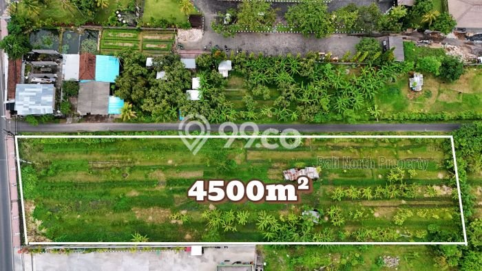 Tanah Kavling Dijual di Lovina, Buleleng dengan Luas Tanah 4500m2 Tanah Kavling Dijual di Lovina, Buleleng dengan Luas Tanah 4500m2