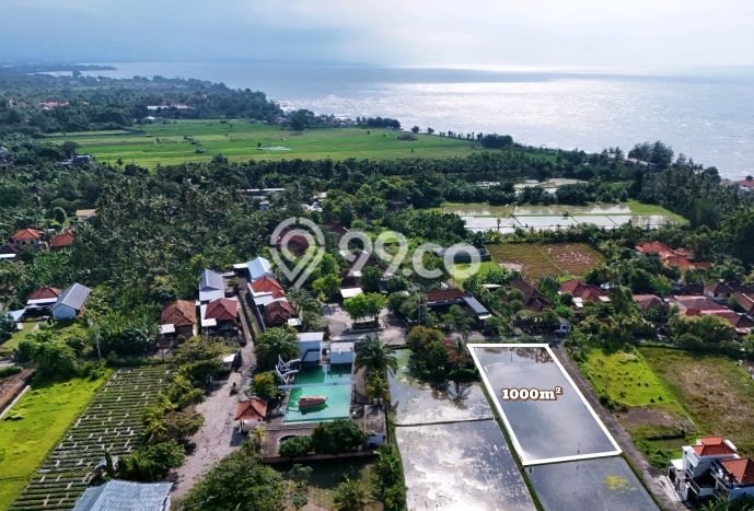 Tanah Dijual Area Strategis di Lovina Buleleng 1000m2 Tanah Dijual Area Strategis di Lovina Buleleng 1000m2