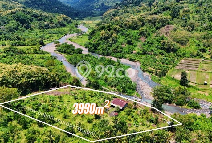 Dijual Tanah di Buleleng Buleleng Luas 3990m2 SHM Dijual Tanah di Buleleng Buleleng Luas 3990m2 SHM