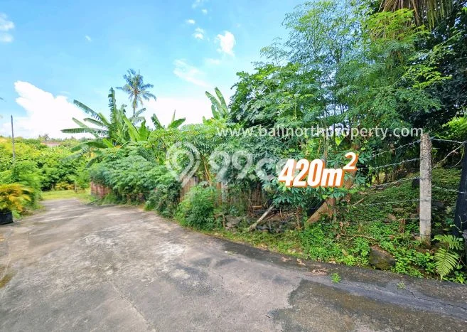 Tanah Kavling Dijual di Sambangan, Buleleng dengan Luas Tanah 420m2 Tanah Kavling Dijual di Sambangan, Buleleng dengan Luas Tanah 420m2