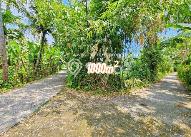 Untuk Dijual Tanah 1000m2 di Lovina, Buleleng Untuk Dijual Tanah 1000m2 di Lovina, Buleleng