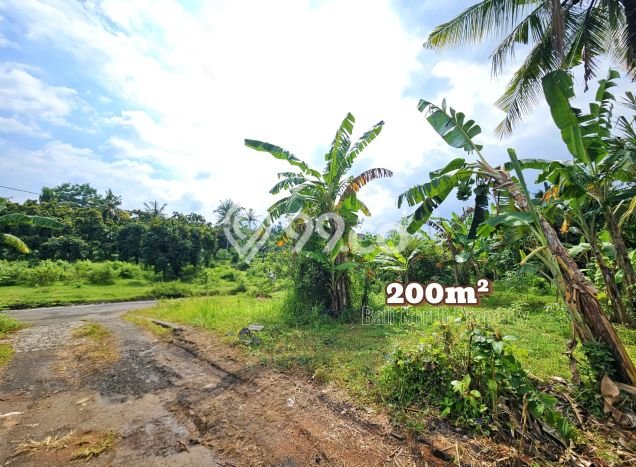 Dijual Tanah Lokasi Lovina, Buleleng Seluas 200m2 Dijual Tanah Lokasi Lovina, Buleleng Seluas 200m2