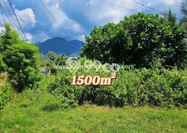 Tanah Kavling Dijual di Buleleng dengan Spesifikasi 1500m2 Tanah Kavling Dijual di Buleleng dengan Spesifikasi 1500m2