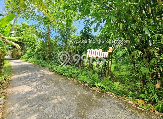 Untuk Dijual Tanah 1000m2 di Lovina, Buleleng Untuk Dijual Tanah 1000m2 di Lovina, Buleleng