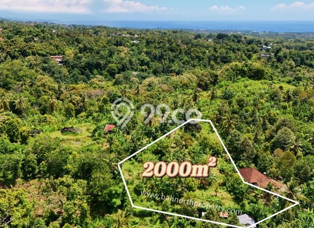 Tanah di Buleleng, Buleleng Luas 2000m2 Dijual Segera Tanah di Buleleng, Buleleng Luas 2000m2 Dijual Segera