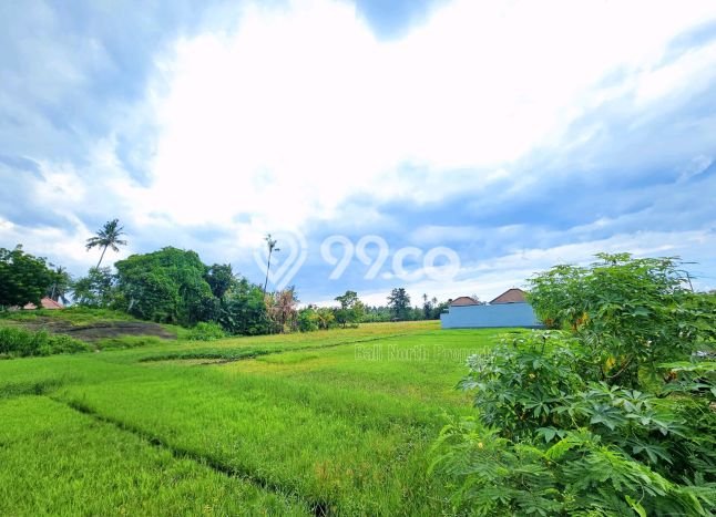 Untuk Dijual Tanah di Buleleng, Luas 200m2 SHM Untuk Dijual Tanah di Buleleng, Luas 200m2 SHM