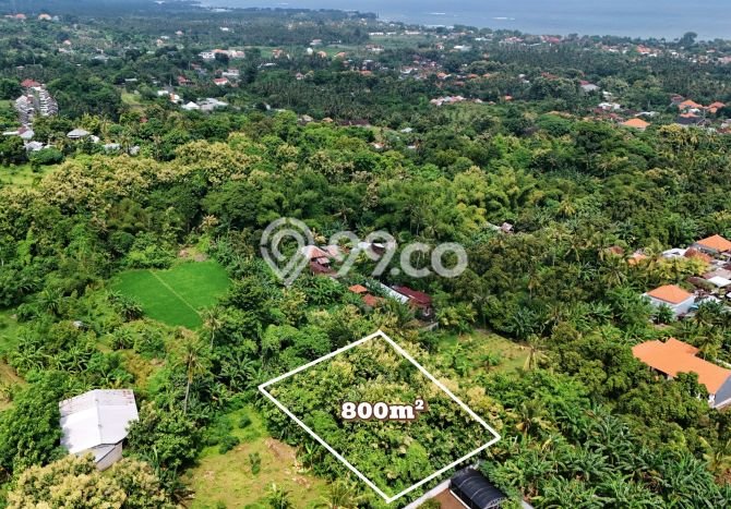 Kavling Tanah untuk Dijual di Lovina, Buleleng, Luas 800m2 Kavling Tanah untuk Dijual di Lovina, Buleleng, Luas 800m2