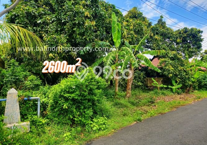 Lahan untuk Dijual Lokasi Buleleng, Buleleng Luas 2600m2 SHM Lahan untuk Dijual Lokasi Buleleng, Buleleng Luas 2600m2 SHM