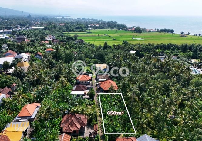 Kavling Tanah untuk Dijual di Lovina, Buleleng, Luas 650m2 Kavling Tanah untuk Dijual di Lovina, Buleleng, Luas 650m2