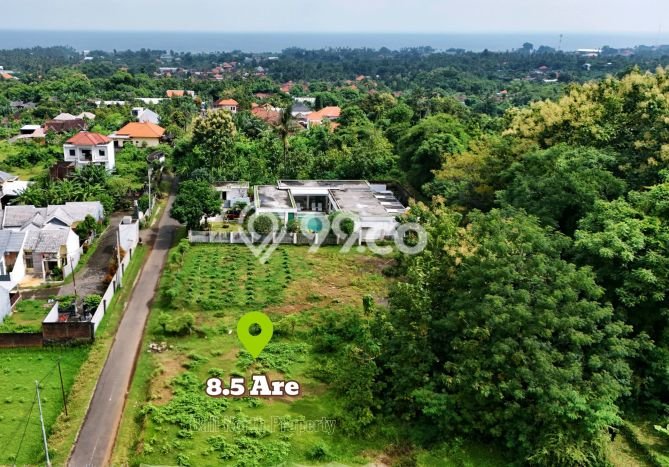 Lahan Dijual Lokasi Strategis di Buleleng dengan Luas 850m2 Lahan Dijual Lokasi Strategis di Buleleng dengan Luas 850m2