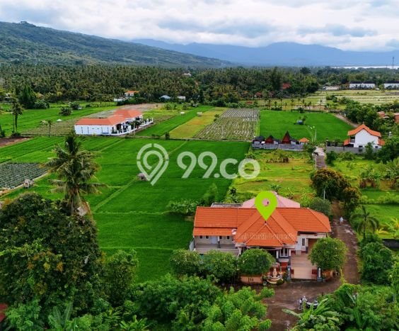 Rumah Minimalis 3 KT di Lovina Buleleng Semi Furnished Rumah Minimalis 3 KT di Lovina Buleleng Semi Furnished