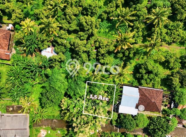 Tanah Kavling Dijual di Lovina, Buleleng dengan Luas Tanah 150m2 Tanah Kavling Dijual di Lovina, Buleleng dengan Luas Tanah 150m2