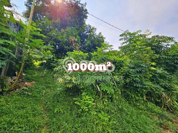 Tanah Dijual Lokasi Buleleng, Buleleng Luas 1000m2 Legalitas Aman Tanah Dijual Lokasi Buleleng, Buleleng Luas 1000m2 Legalitas Aman