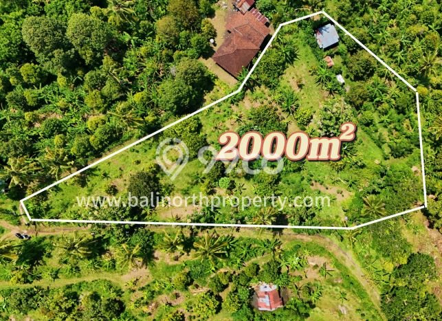 Tanah di Buleleng, Buleleng Luas 2000m2 Dijual Segera Tanah di Buleleng, Buleleng Luas 2000m2 Dijual Segera