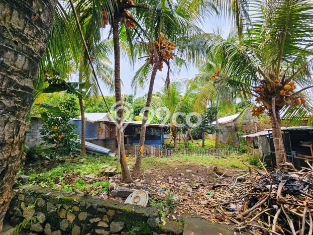 Untuk Dijual Tanah di Buleleng, Luas 1000m2 SHM Untuk Dijual Tanah di Buleleng, Luas 1000m2 SHM