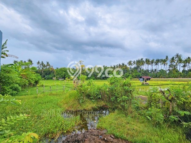 Dijual Tanah 200m2 di Lovina, Buleleng Dijual Tanah 200m2 di Lovina, Buleleng
