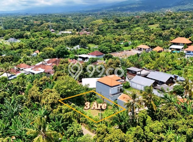 Dijual Tanah Lokasi Lovina, Buleleng Seluas 300m2 Dijual Tanah Lokasi Lovina, Buleleng Seluas 300m2