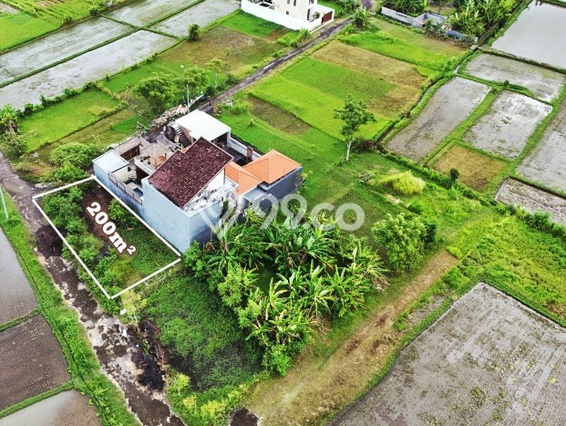 Dijual Tanah 200m2 di Lovina, Buleleng Dijual Tanah 200m2 di Lovina, Buleleng