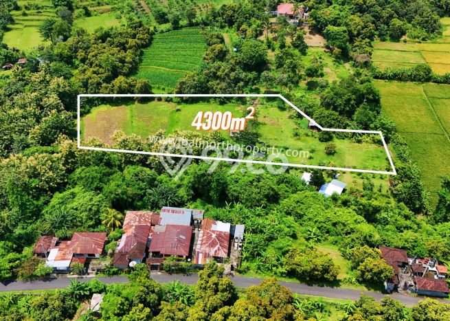 Lahan Dijual Lokasi Buleleng, Buleleng dengan Luas Tanah 4300m2 dan Status SHM Lahan Dijual Lokasi Buleleng, Buleleng dengan Luas Tanah 4300m2 dan Status SHM