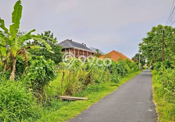 Dijual Tanah di Buleleng, Luas 1296m2 SHM Dijual Tanah di Buleleng, Luas 1296m2 SHM